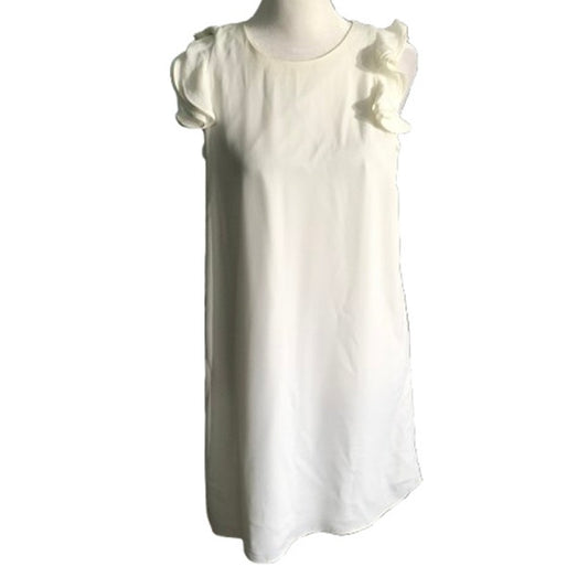 Naked Zebra Ruffle Sleeve Dress Size S Elegant, Feminine, Minimalist Cottagecore