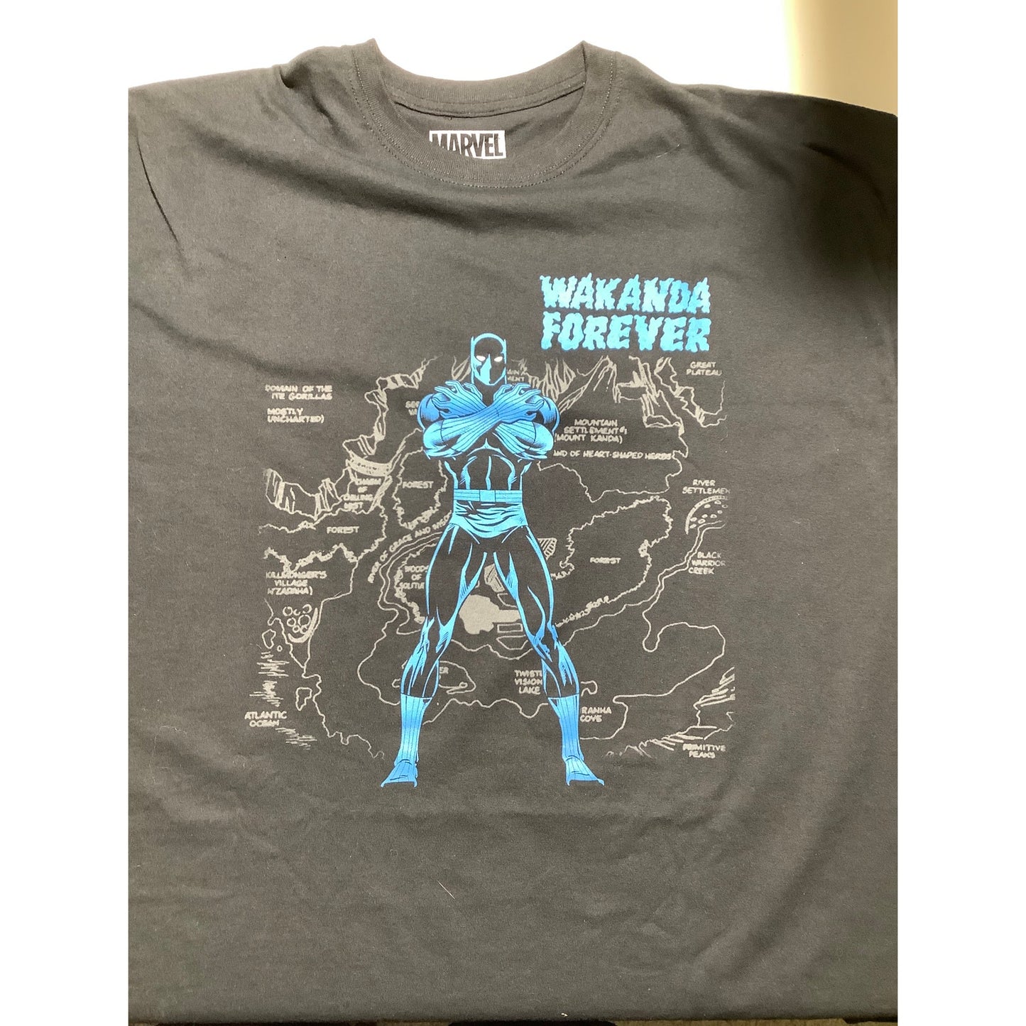 Marvel BlackPanther Wakanda Forever T-Shirt Men’s 2XL— Graphic, Cotton, Casual